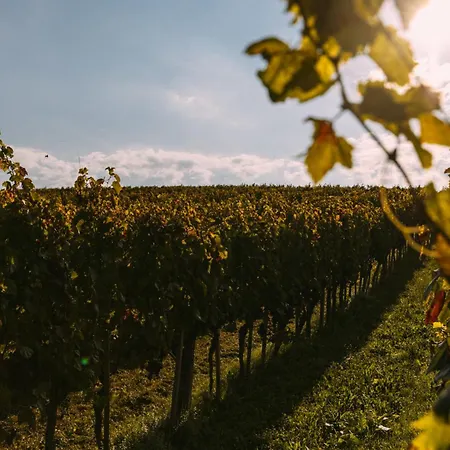 Apartma Hisa Na Ravnah With Hot Tub