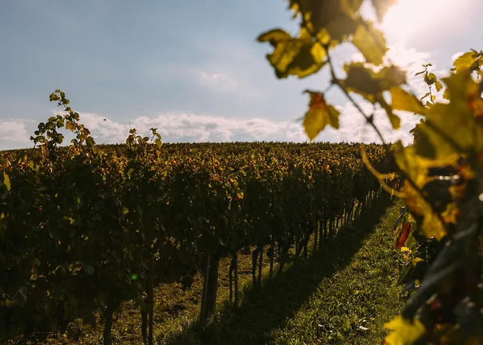 Apartma Hisa Na Ravnah With Hot Tub